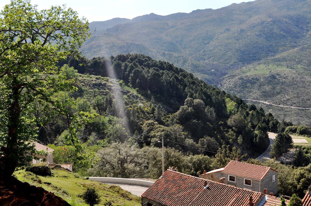 Bed and breakfast D'hotes Cardellini Aullene