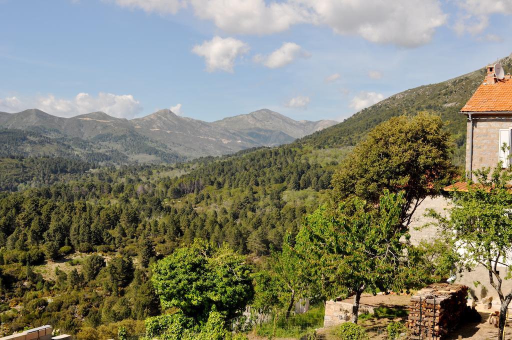 Bed and breakfast D'hotes Cardellini Aullene